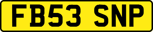 FB53SNP