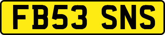 FB53SNS
