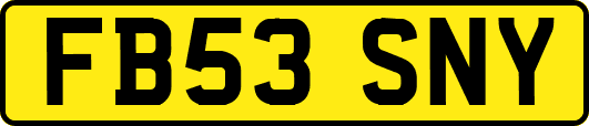 FB53SNY