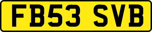 FB53SVB