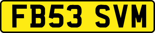 FB53SVM