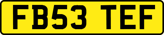 FB53TEF