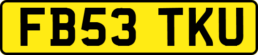 FB53TKU