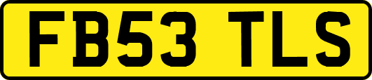 FB53TLS