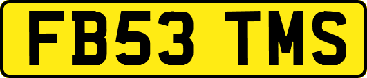 FB53TMS