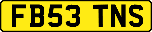 FB53TNS