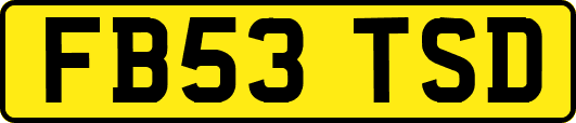 FB53TSD
