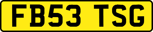 FB53TSG