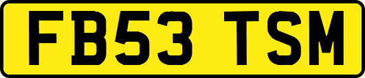 FB53TSM