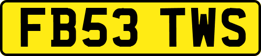 FB53TWS