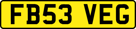 FB53VEG