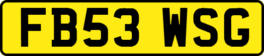 FB53WSG