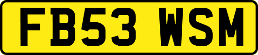 FB53WSM