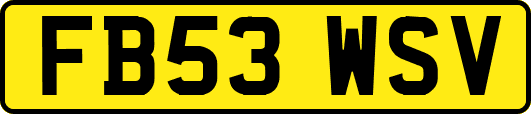 FB53WSV