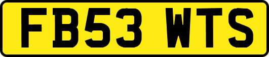 FB53WTS