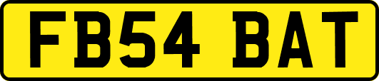 FB54BAT