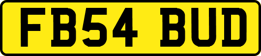 FB54BUD