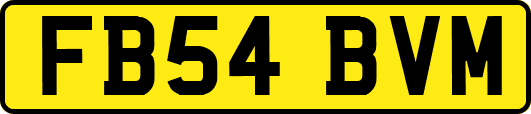 FB54BVM