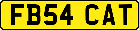 FB54CAT