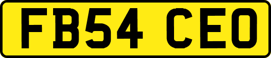 FB54CEO