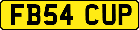 FB54CUP