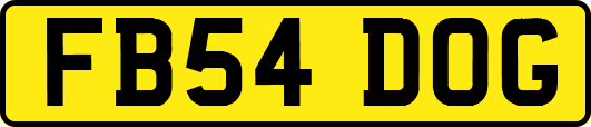 FB54DOG