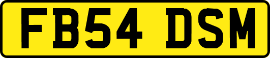 FB54DSM