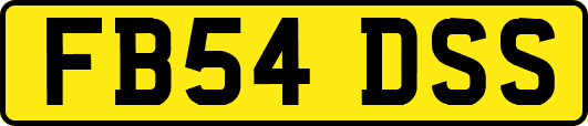 FB54DSS