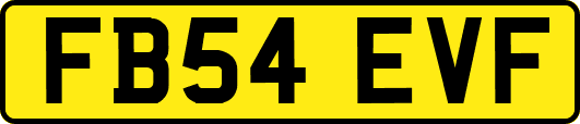 FB54EVF