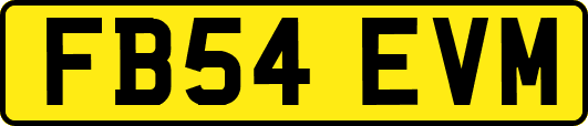 FB54EVM