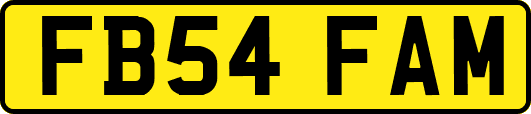 FB54FAM