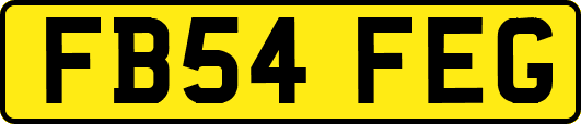 FB54FEG