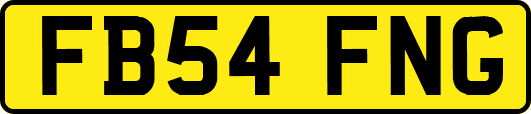 FB54FNG