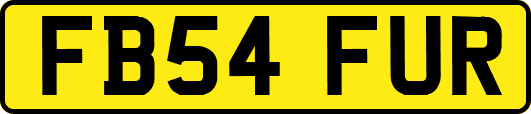 FB54FUR