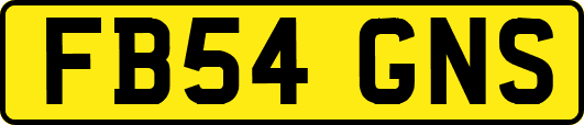 FB54GNS
