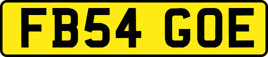 FB54GOE