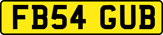 FB54GUB