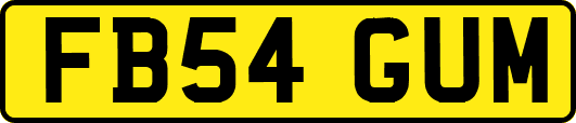 FB54GUM