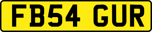 FB54GUR