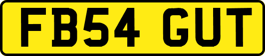 FB54GUT