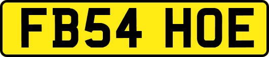 FB54HOE