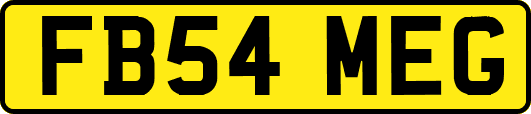 FB54MEG