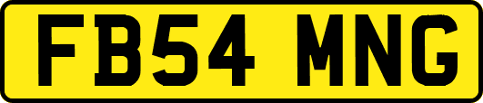 FB54MNG