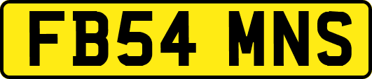 FB54MNS