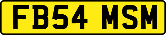 FB54MSM