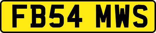 FB54MWS