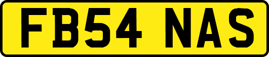 FB54NAS