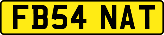 FB54NAT