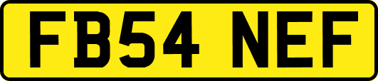 FB54NEF