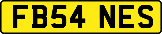 FB54NES